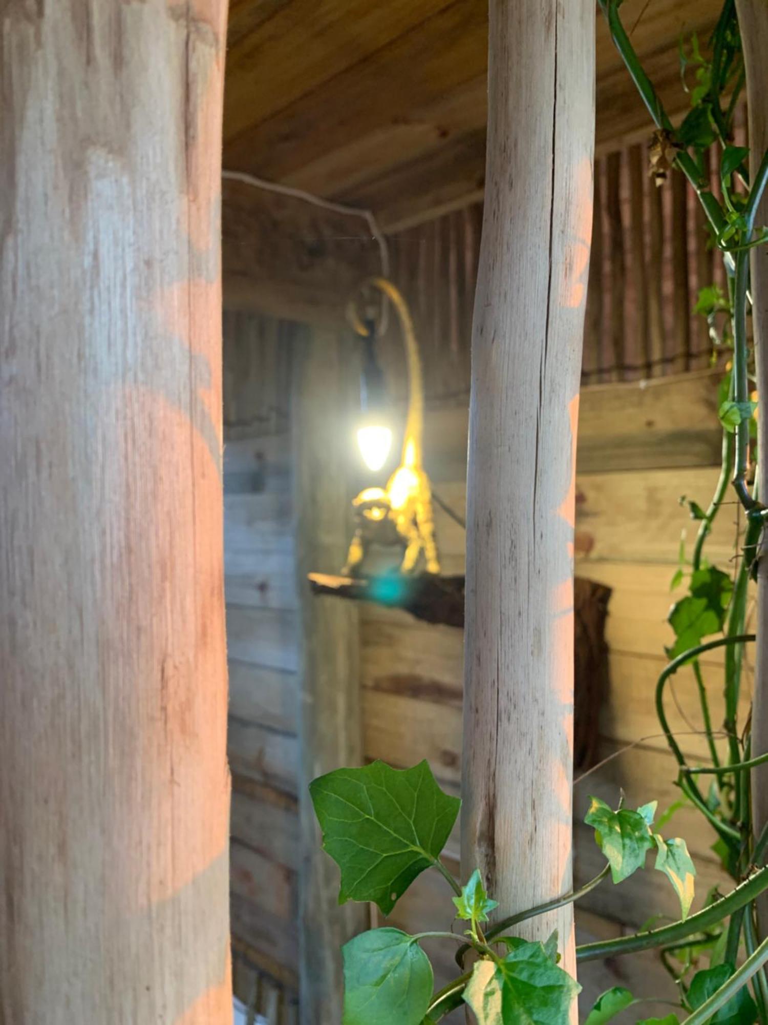 Villa Mudhouse Zululand Hluhluwe Zimmer foto